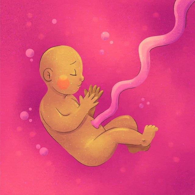 watercolor-painted-fetus-illustration_23-2149204509.jpg
