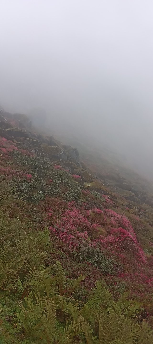 20250915_131519.jpg