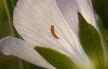 P1930364 mini.jpg