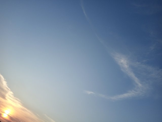 IMG_20250816_181046_706.jpg