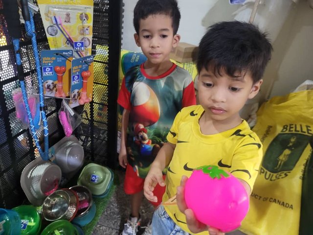 49529.jpg