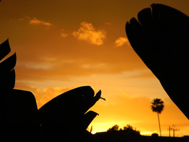DSCN0345.JPG