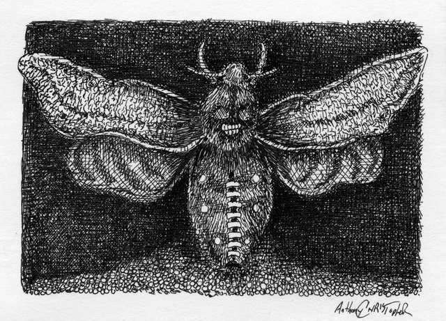 moth eggs doodle065.jpg