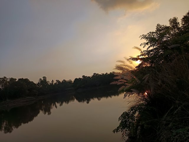 1000016075.jpg