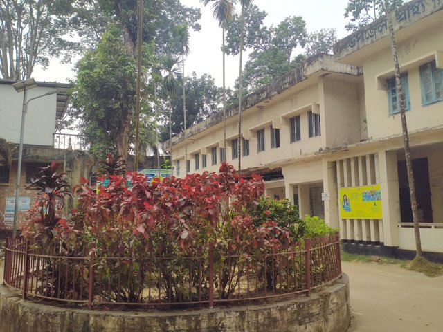 IMG20241225100239.jpg