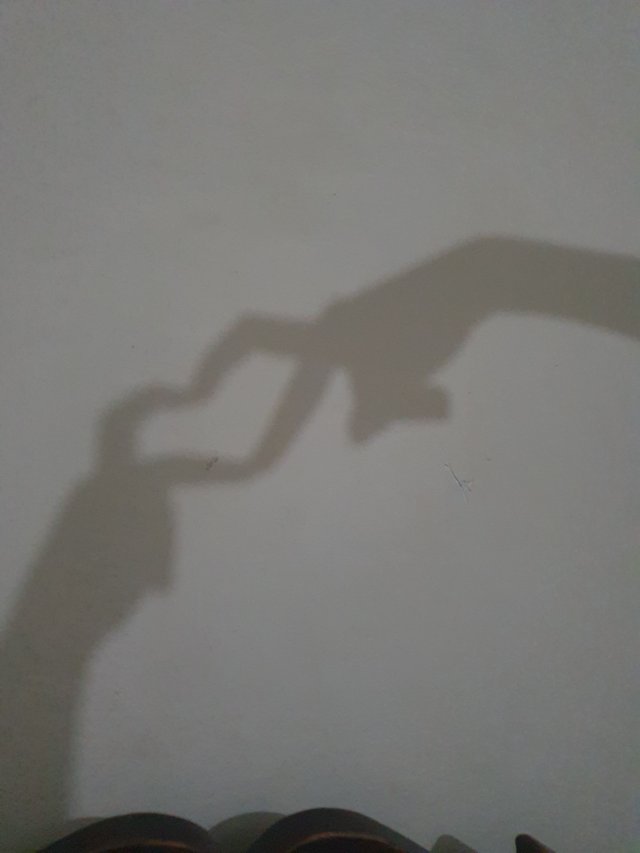 20250625_135307.jpg