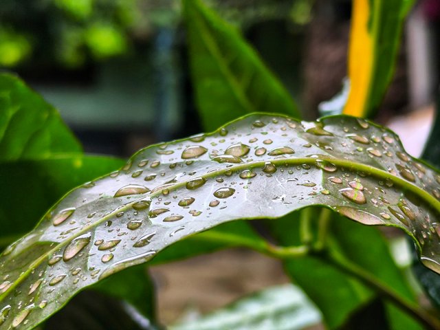 IMG_20250714_160712.