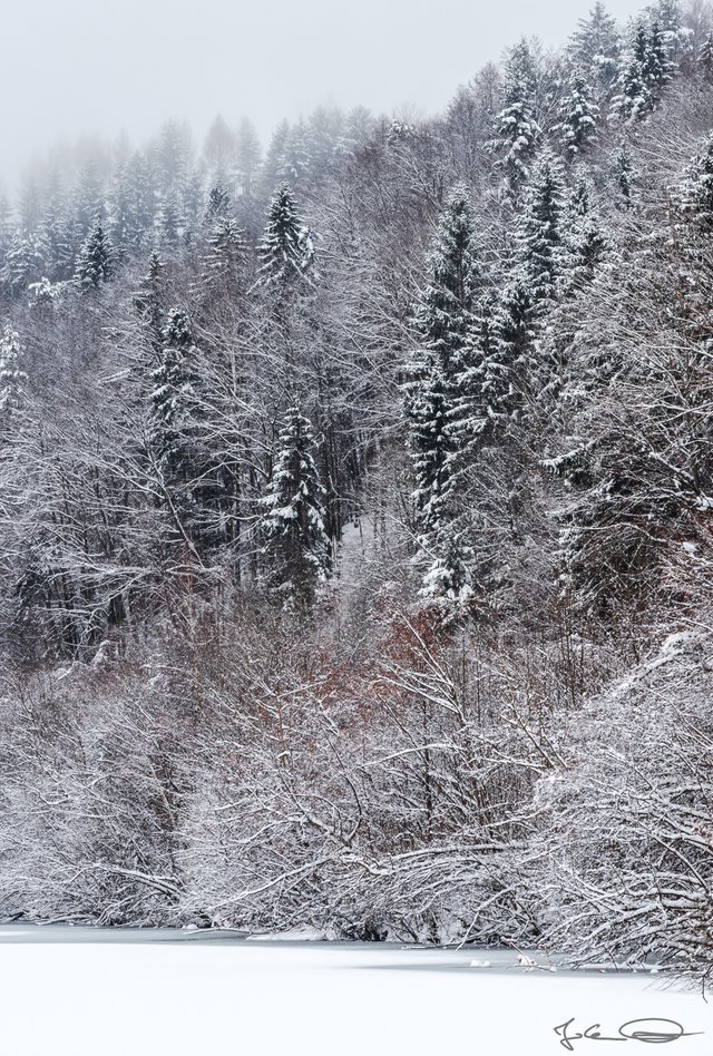 2019-01-28-Rosental-Drau-Winter-06.jpg