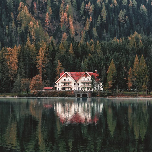 white-and-orange-house-beside-forest-and-body-of-water-1019980.jpg