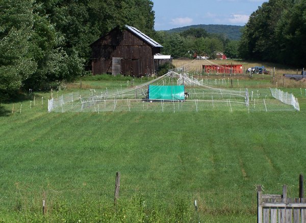 Pasture pen crop August 2019.jpg