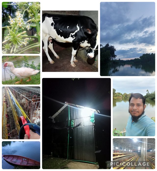 Collage_2025-09-22_22_56_45.jpg