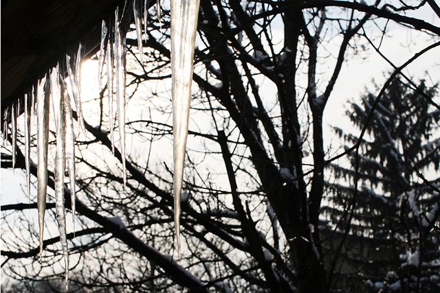 Winter_Vibes_n02c_s.jpg