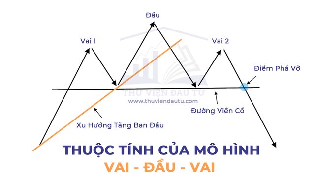 thuoc-tinh-cua-mo-hinh-vai-dau-vai.jpg