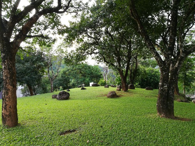 Doi Tung1.jpg