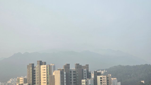 1000129520.jpg