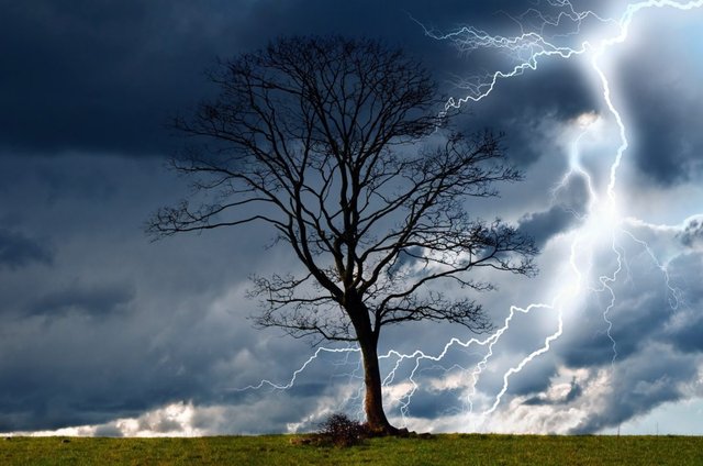 185-1859659_trees-storm-sky-lightning-rain-nature-dangerous-rain.jpg