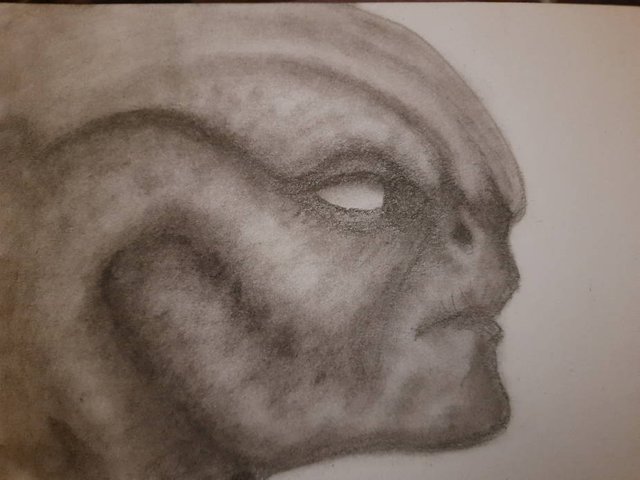 20250716_110835.jpg