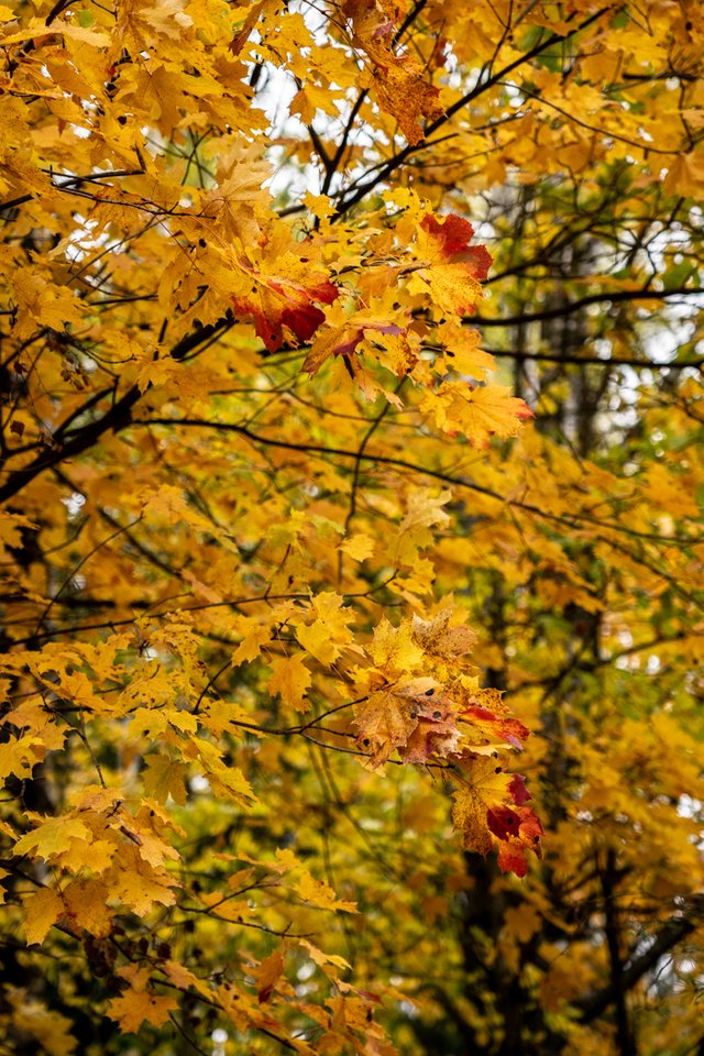 DSC08159.jpg