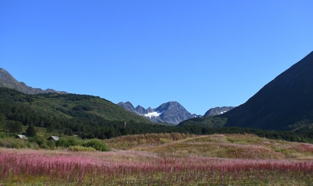 260 turnagin summit south view.jpg