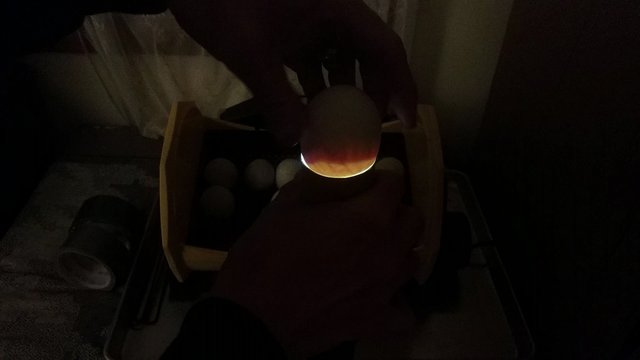 VID_20190206_1620911198237736117.jpg
