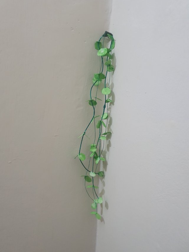 20250506_170903.jpg