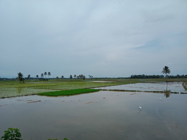 IMG_20250807_125644.jpg
