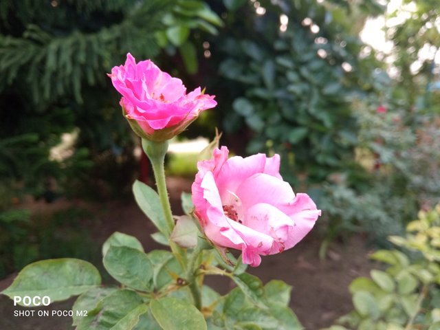 IMG_20250605_180100.