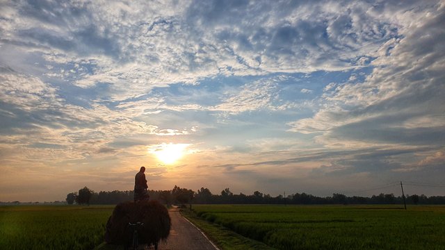 20250524_180324-01.jpeg