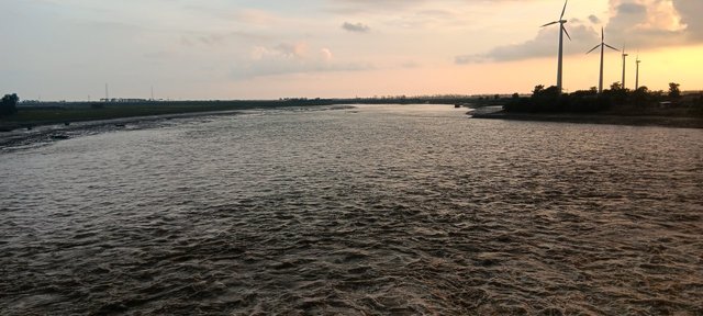 IMG_0505.jpeg