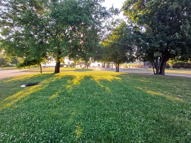 20250722_064552.jpg
