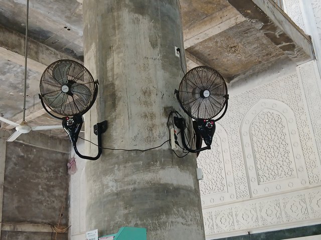 20250317_160030.jpg