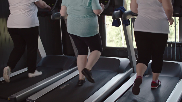 rear-view-of-three-overweight-women-running-on-treadmill-in-the-gym_scv5trd6_thumbnail-full01.png