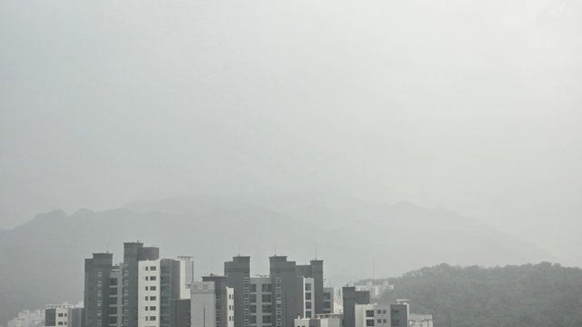 1000127761.jpg