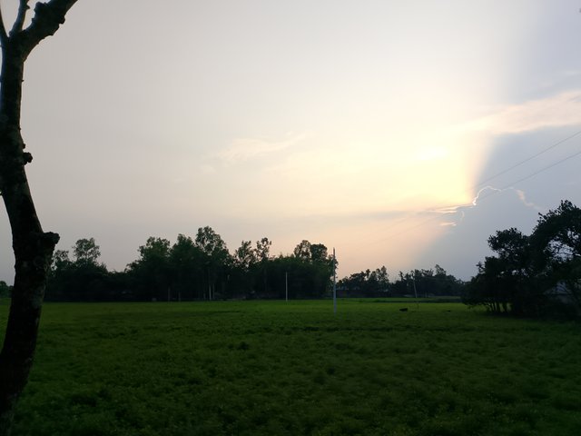 1000040543.jpg
