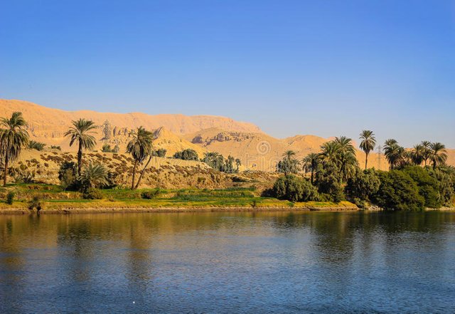 oasis-nile-river-egypt-palm-trees-along-shore-africa-83440409.jpg