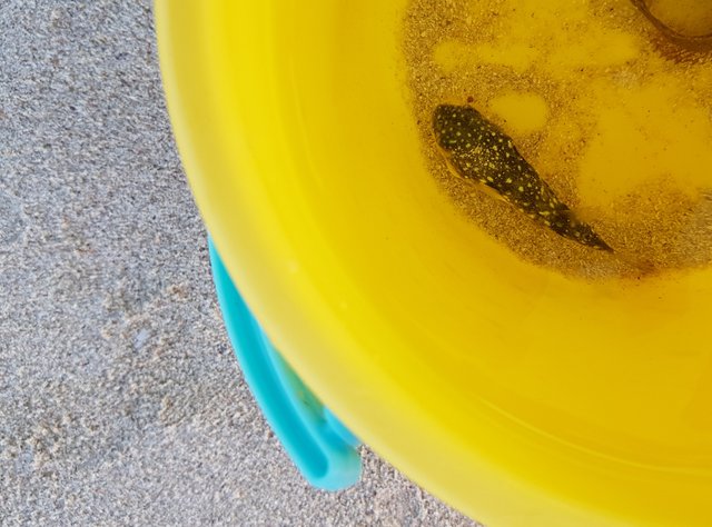 20180713_153607.jpg