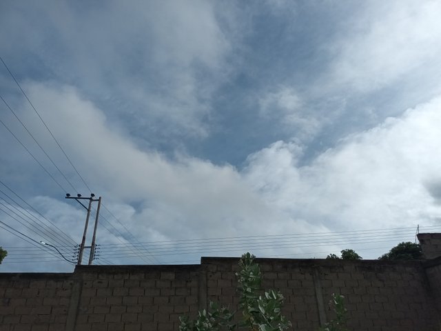 20250528_080146.jpg