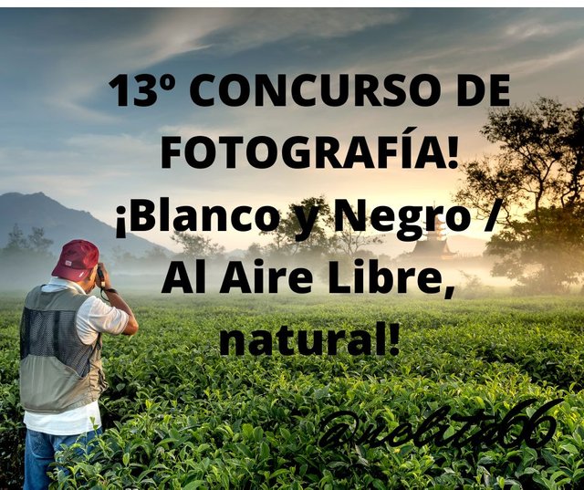 13º CONCURSO DE FOTOGRAFÍA! ¡Blanco y Negro  Al Aire Libre, natural!.jpg