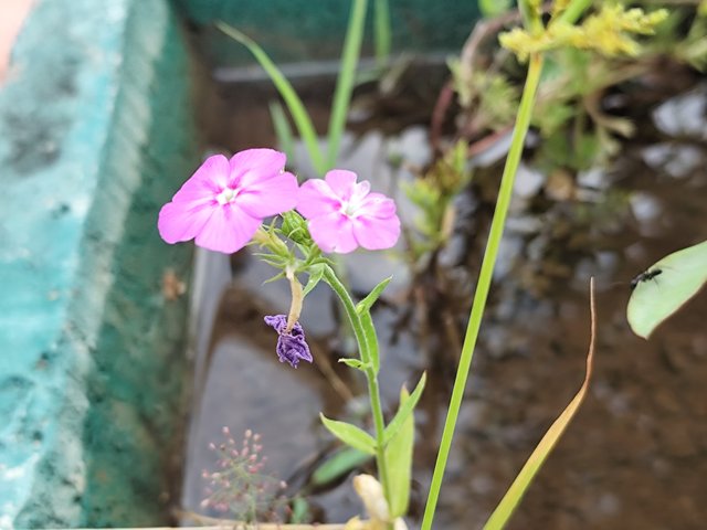 IMG_20250930_101221.jpg