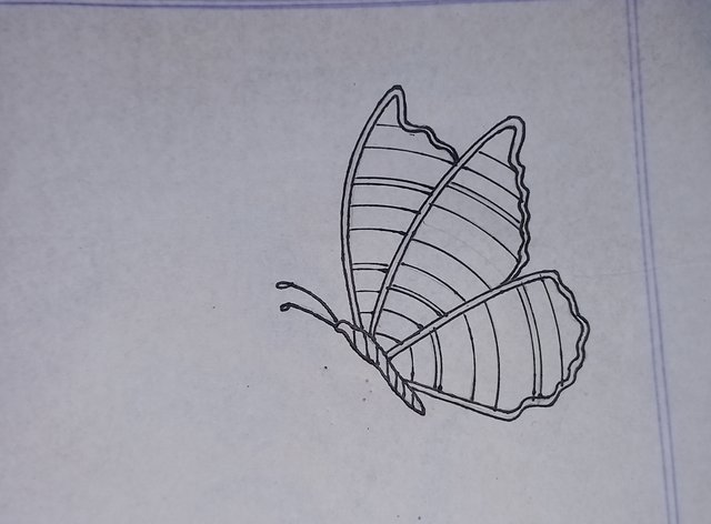 20250802_201802.jpg