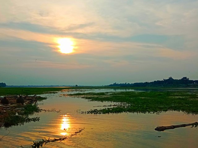 IMG_20250920_184448.jpg