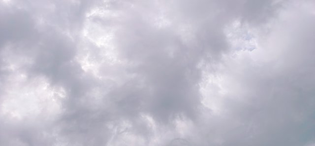 KakaoTalk_20250607_173612335.jpg