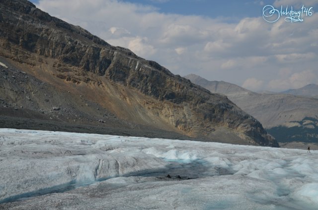 columbia icefields6.jpg