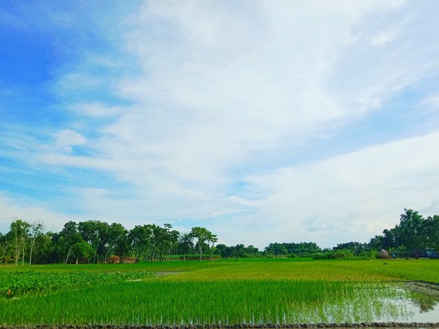 IMG_20250818_082923.jpg