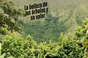 La belleza de los árboles y su valor_20250227_010541_0000.png