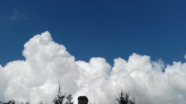 20180726_111104.jpg