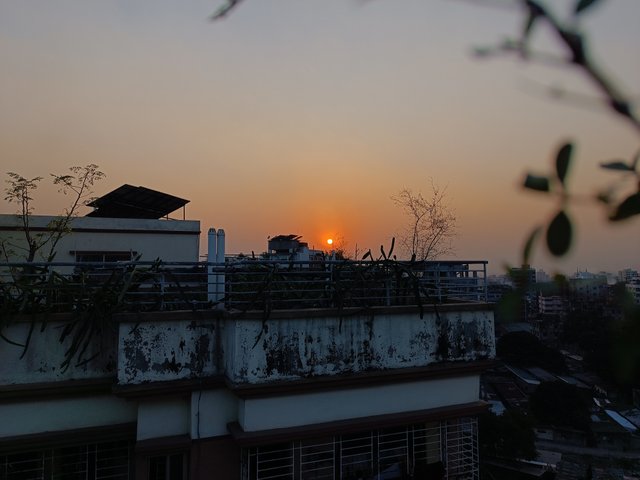 IMG_20250303_174058.jpg