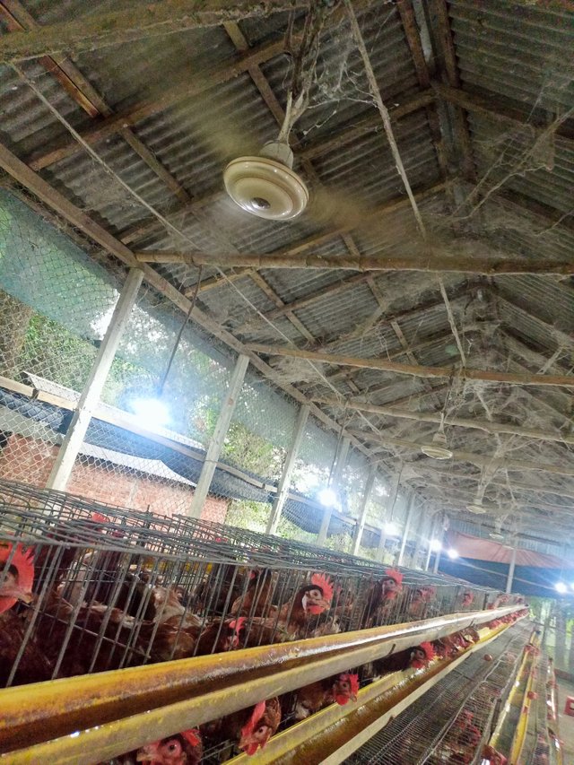 IMG20250624183050.jpg