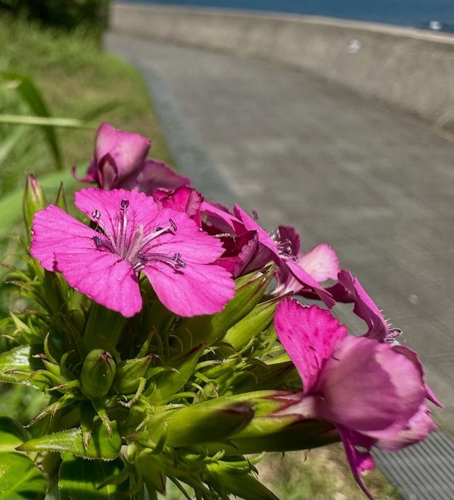IMG_20250707_154902.jpg