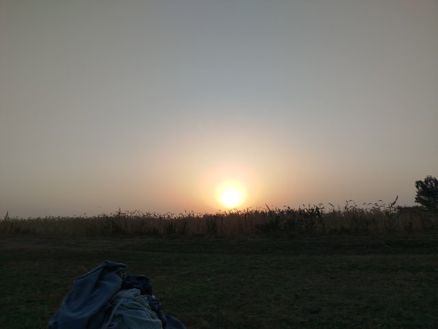 1000031644.jpg